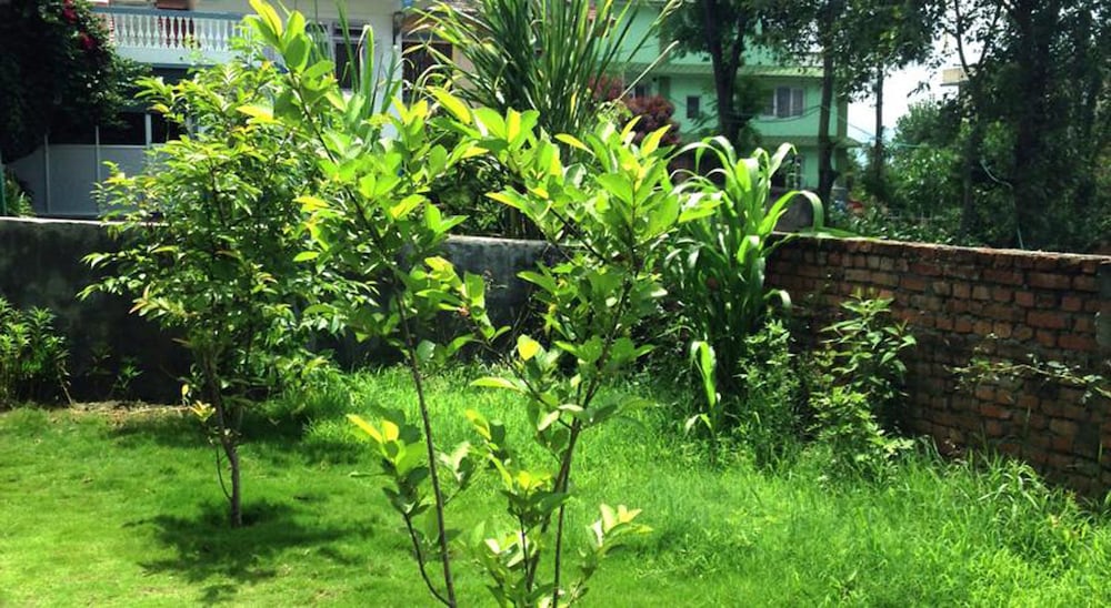 surroundings