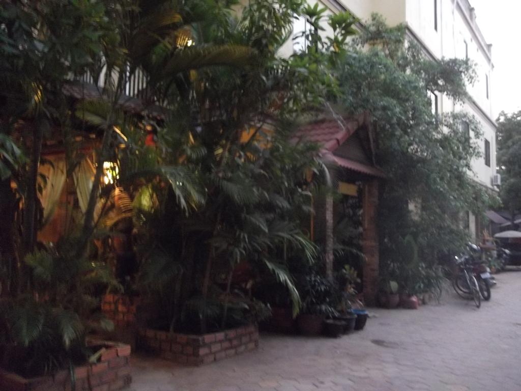 Victory Guesthouse 38/41