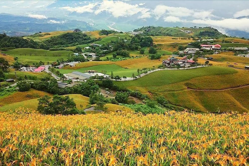 Locking Taitung B&B 31/35