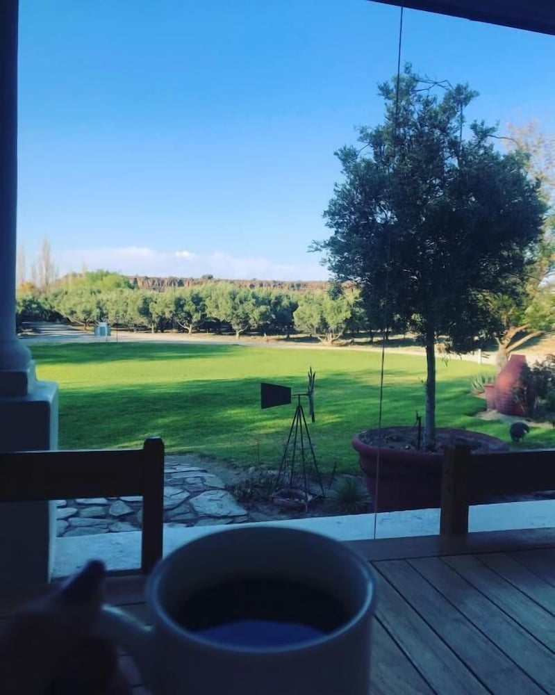 Olive Grove Guest Farm 37/50