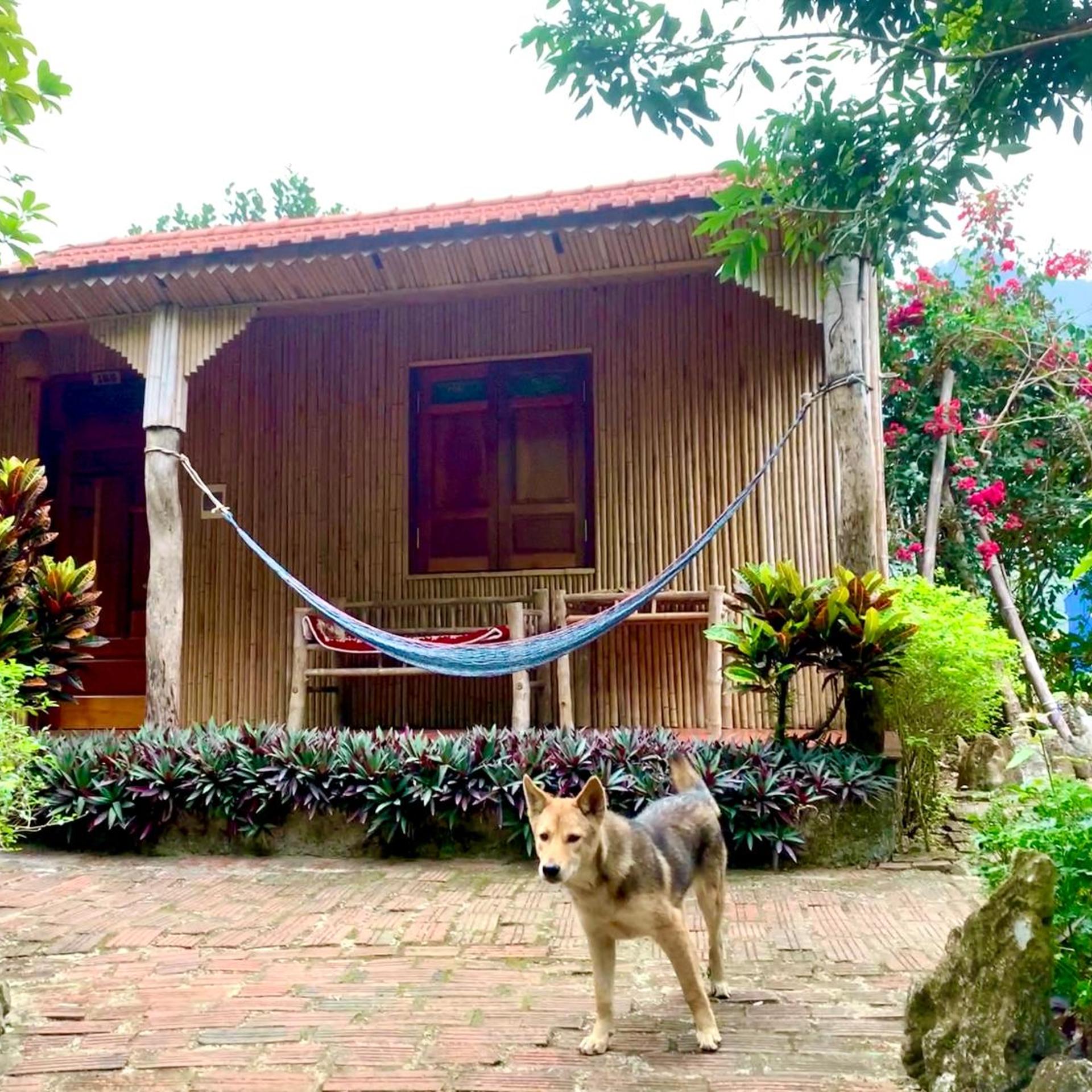 Long Phuong Homestay 4/55