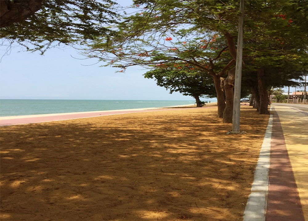 Bacchus Home Resort 72/77