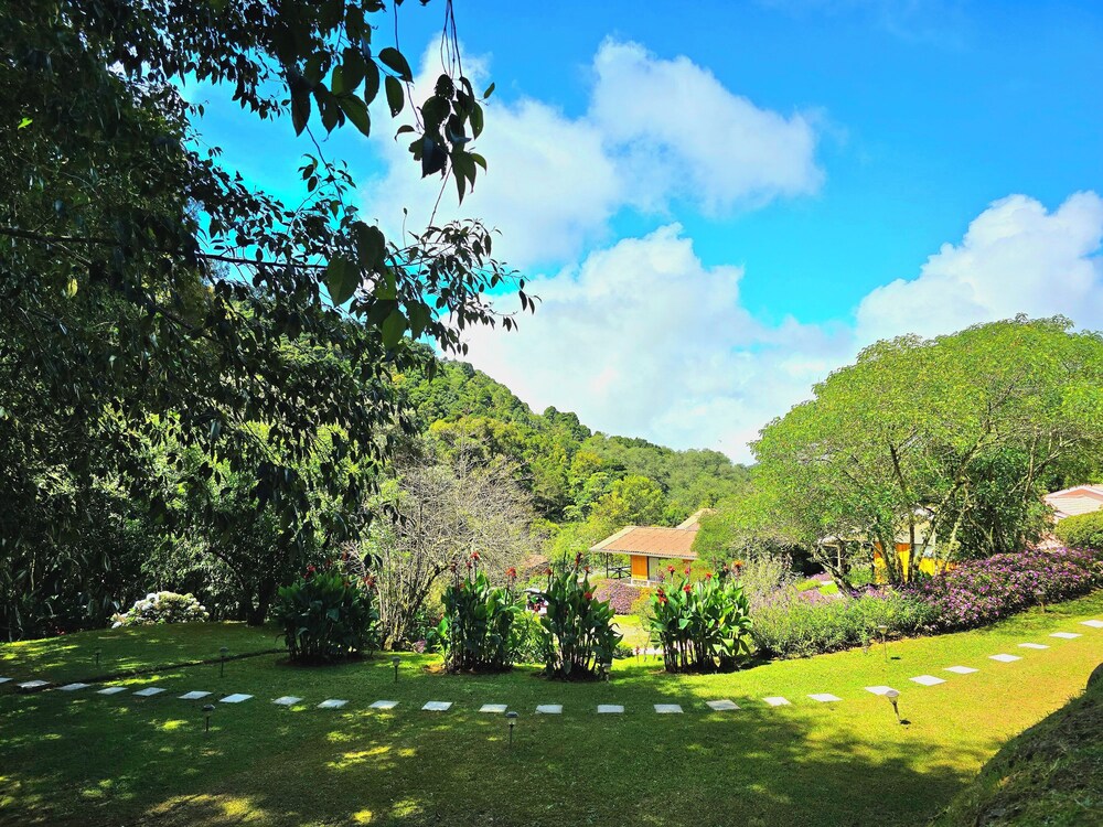 Hotel De Montana Suria 33/50