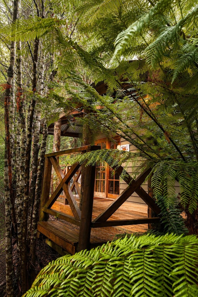 Cradle Forest Inn 46/50