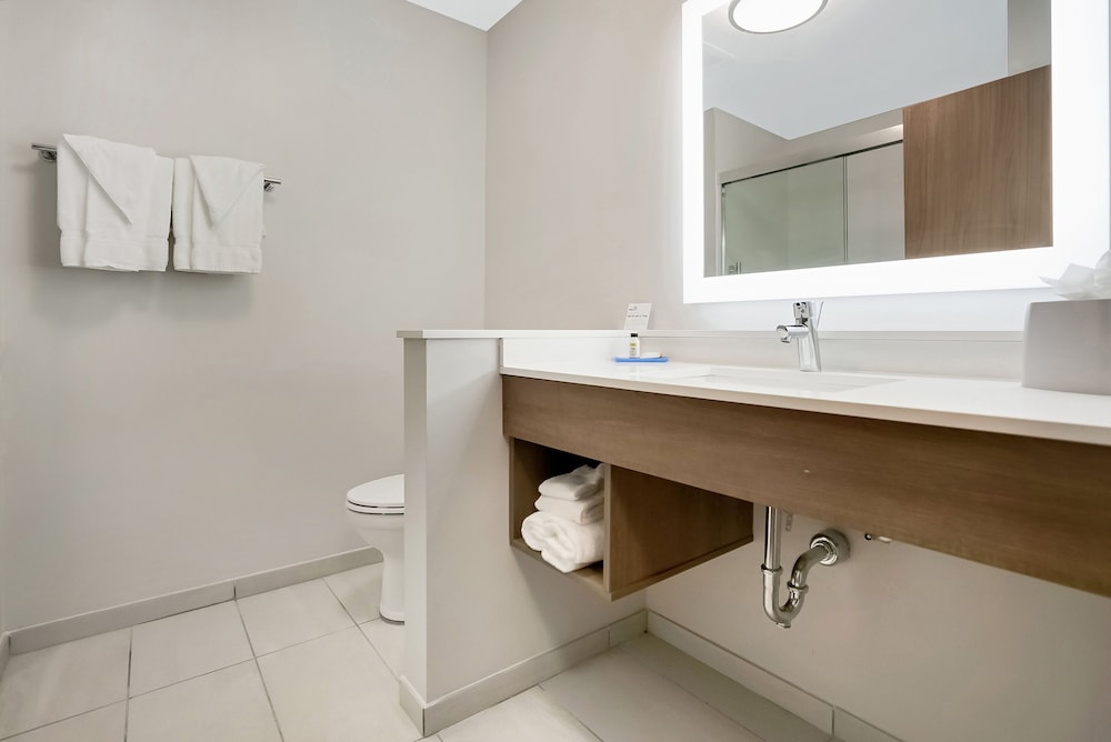 Holiday Inn Express Jacksonville South Bartram Prk 21/69