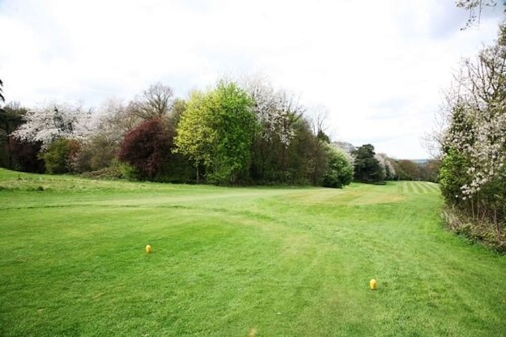 Shendish Manor Hotel & Golf Course 62/77