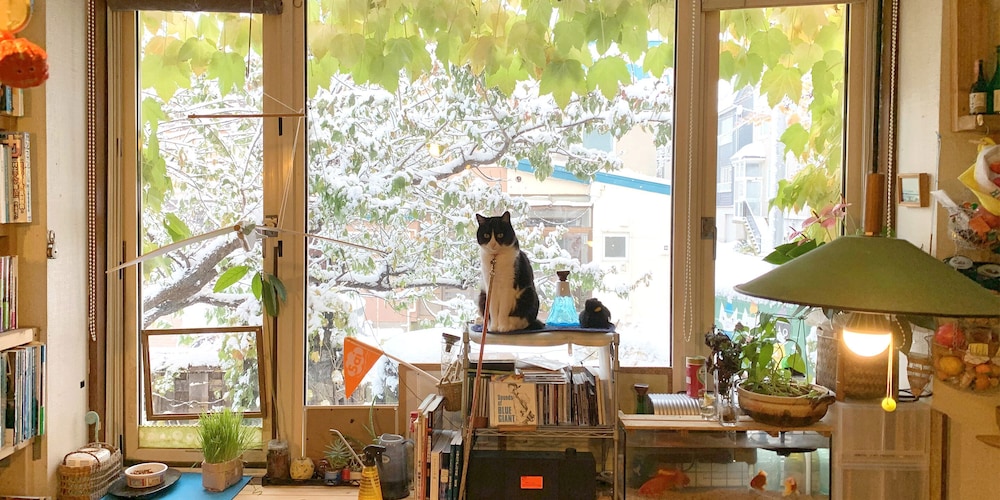 Otarunai Backpackers' Hostel Morinoki 6/48