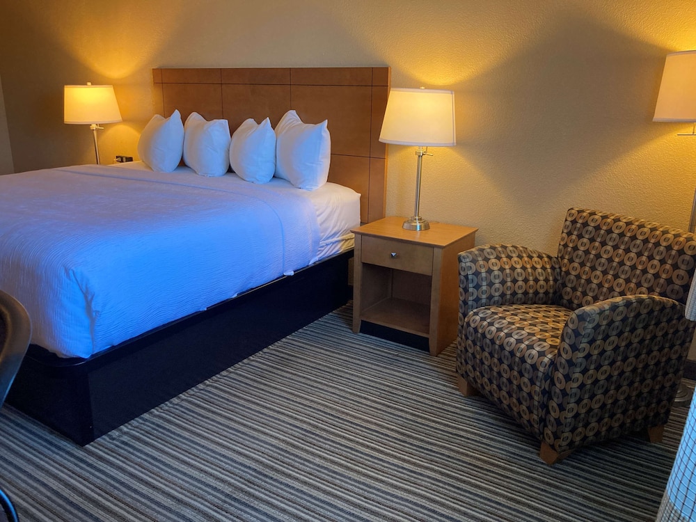 غرفة قياسية بسرير كينج، Best Western Plus Reading Inn & Suites 2/3