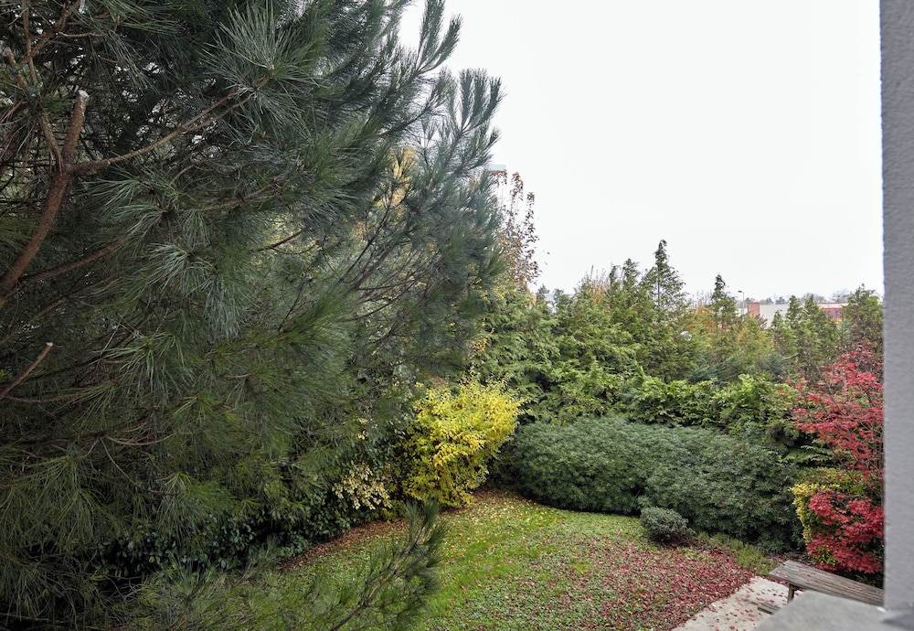 B&B HOTEL Evry Lisses 3 etoiles 38/43