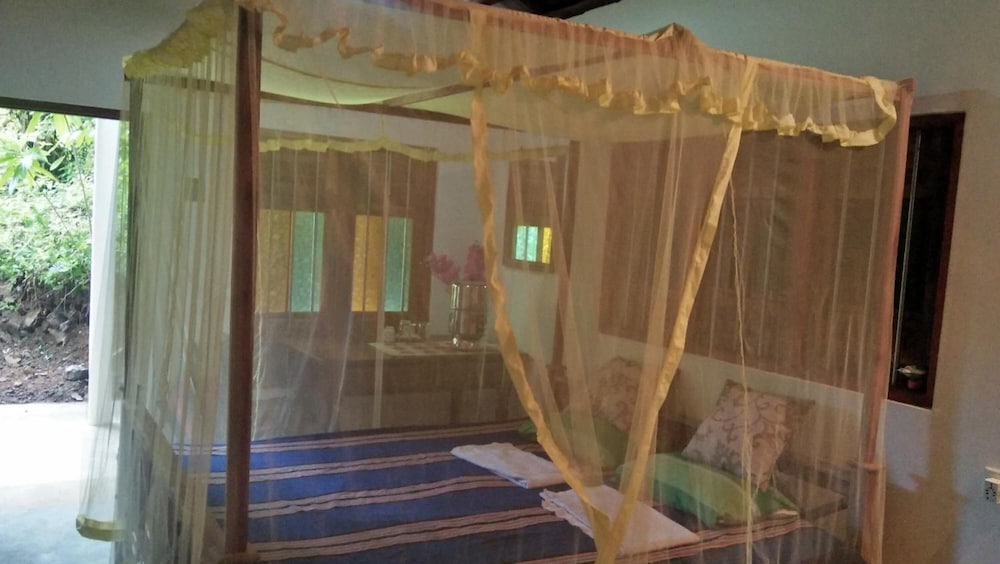 The Jungle House 19/50