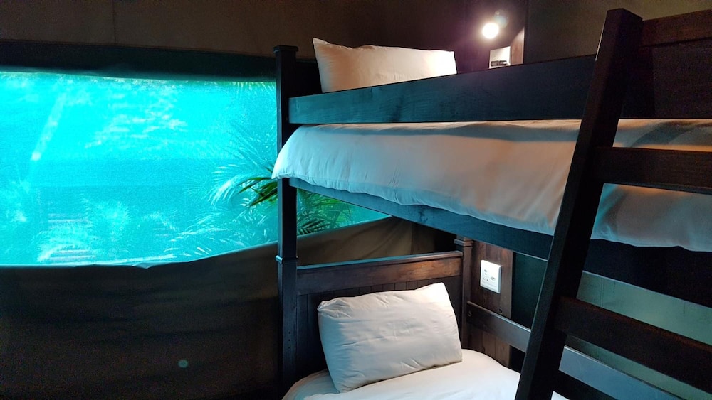 Budget Tents @ Urban Glamping 11/42