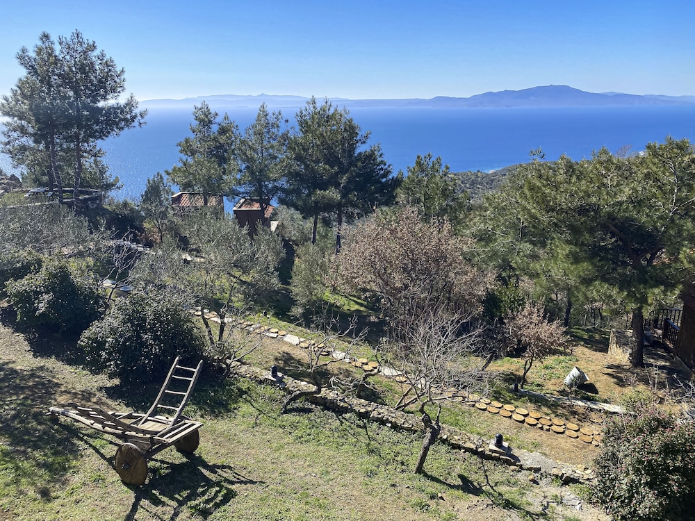 Simurg Inn 26/50