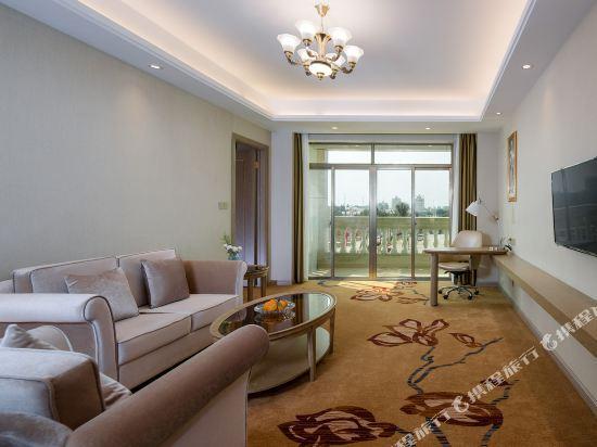 Vienna International Hotel (Haikou Old Town High Speed Railway Station) 40/58