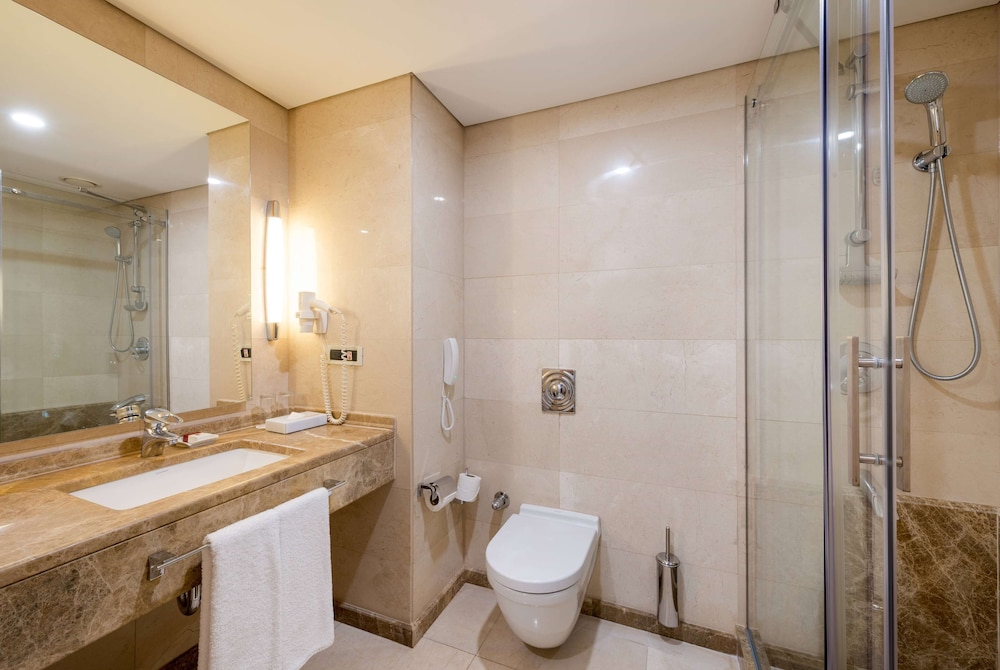 Ramada Plaza By Wyndham Istanbul City Center 21/66