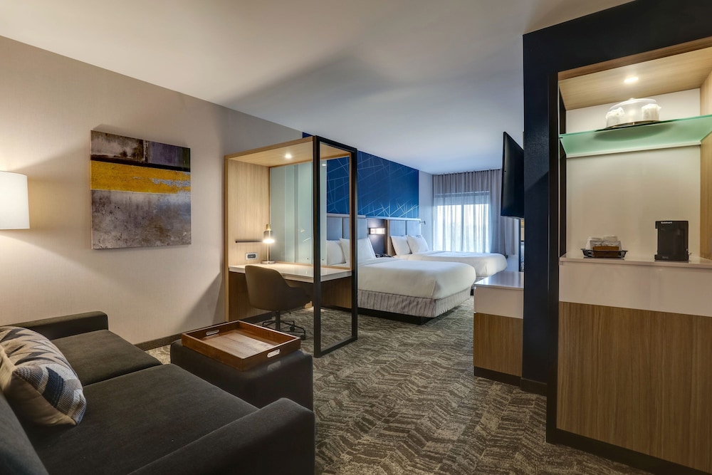 SpringHill Suites by Marriott Cheraw 19/39