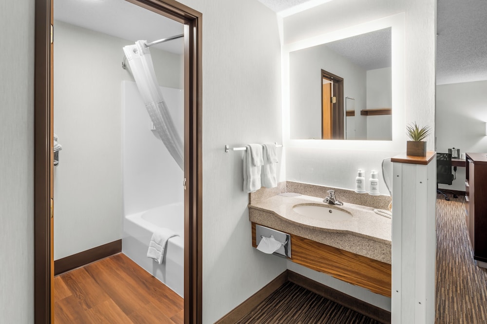 Everspring Inn Suites Hill City 58/61