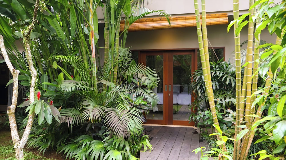 The Pandora Hotel 1/50