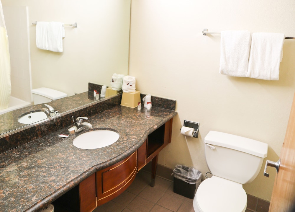 Budget Inn Phoenix 23/56