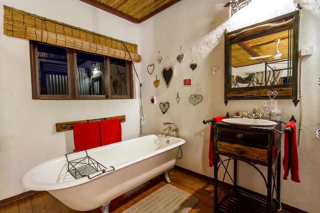 Gecko Lodge 26/86