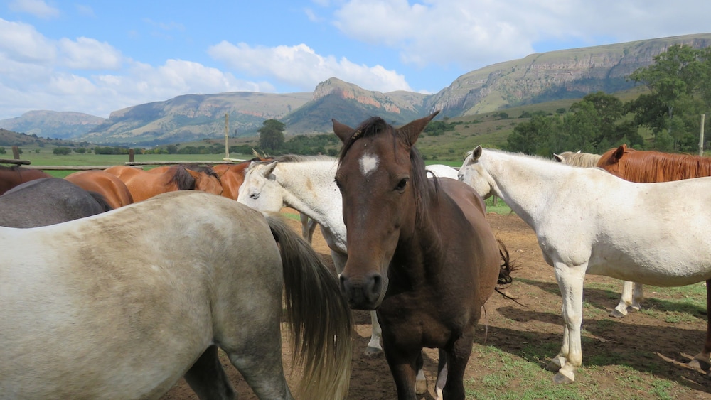 Verlorenkloof 13/21