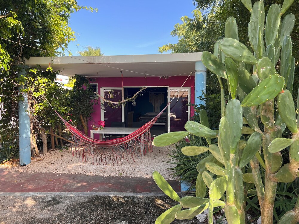 Tropical Breeze Apartments 3/49