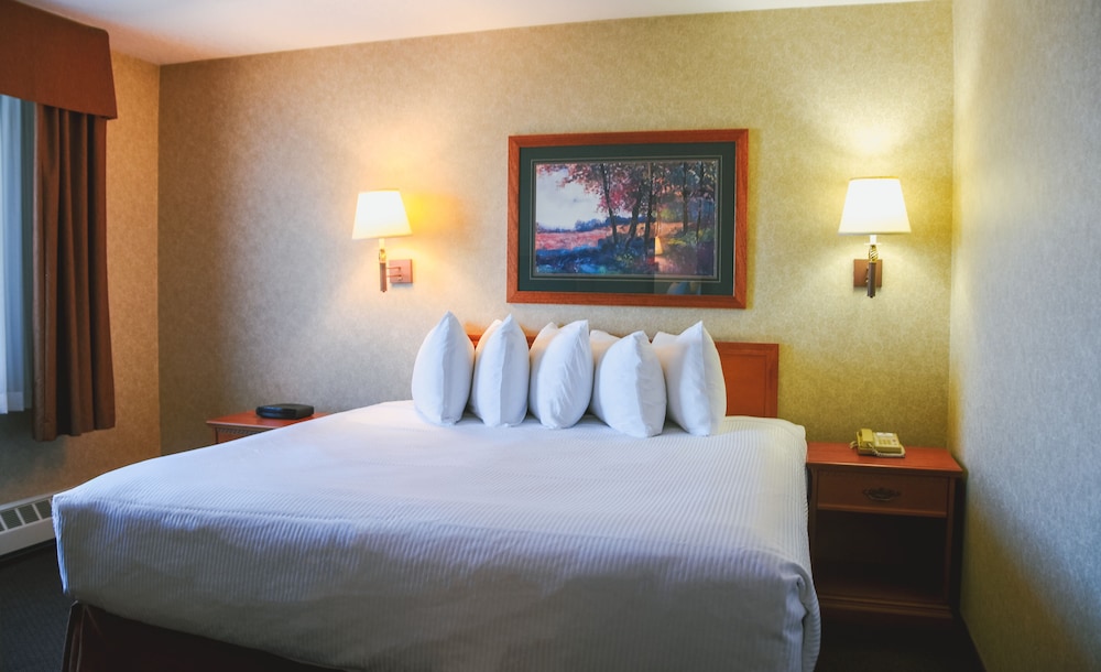 Stony Plain Inn & Suites 5/44