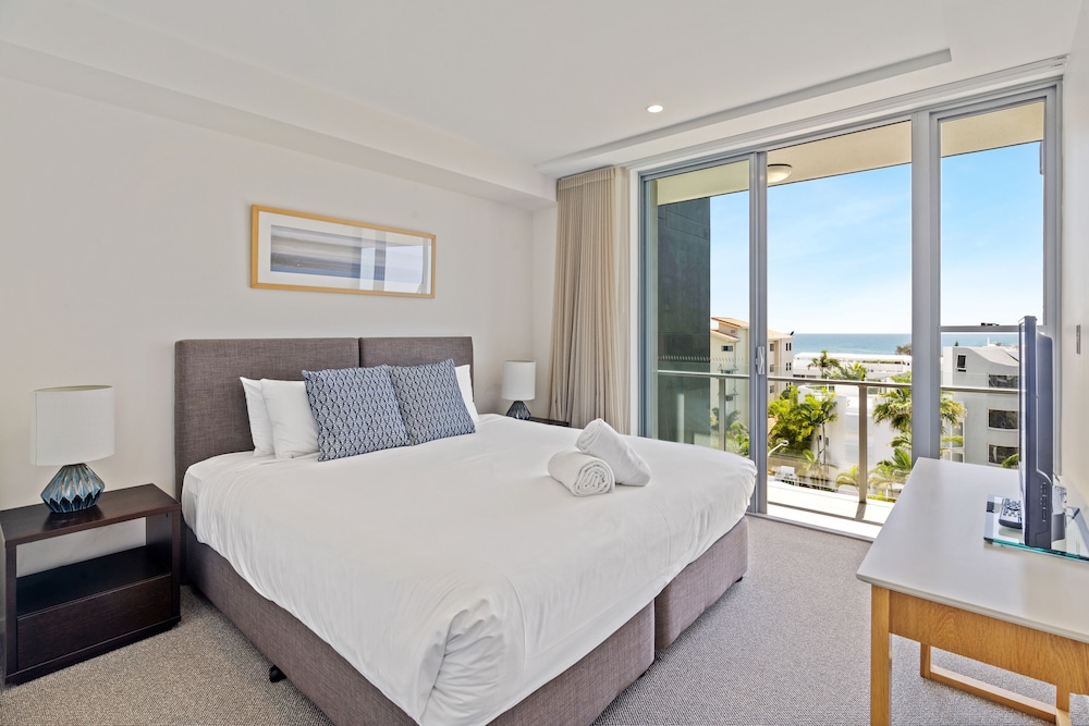 Verve On Cotton Tree 12/50