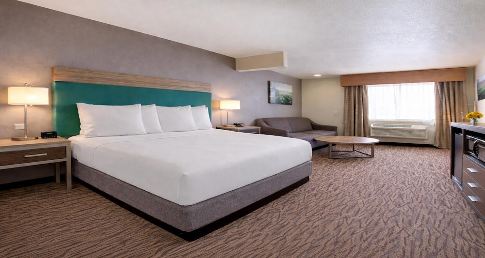 Standard, Single, King Bed, Accessible