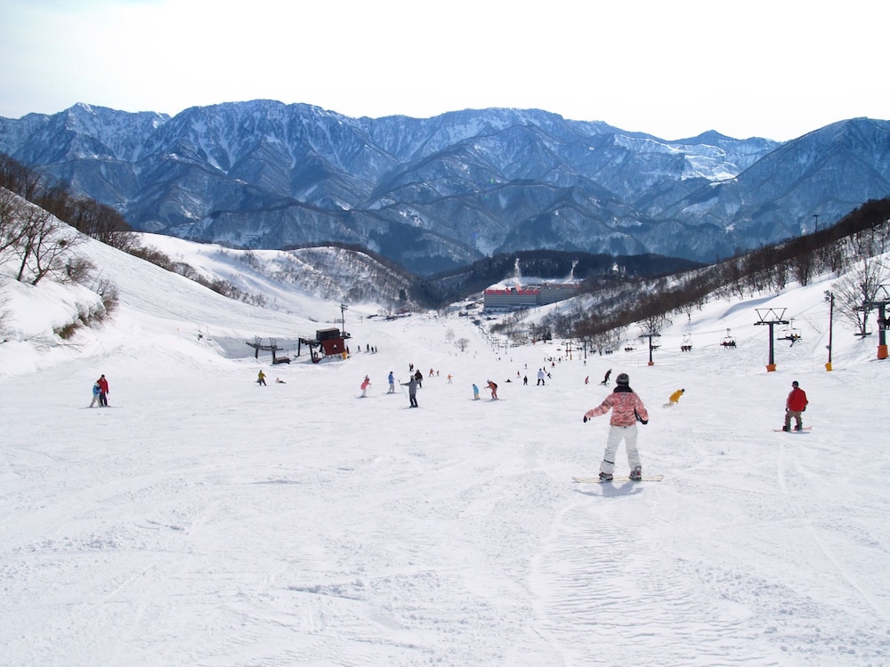 Hotel Green Plaza Hakuba 44/50