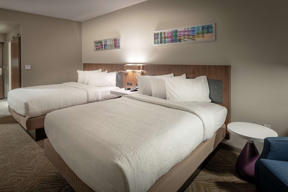 Hilton Garden Inn Dallas At Hurst Conference Center 15/53