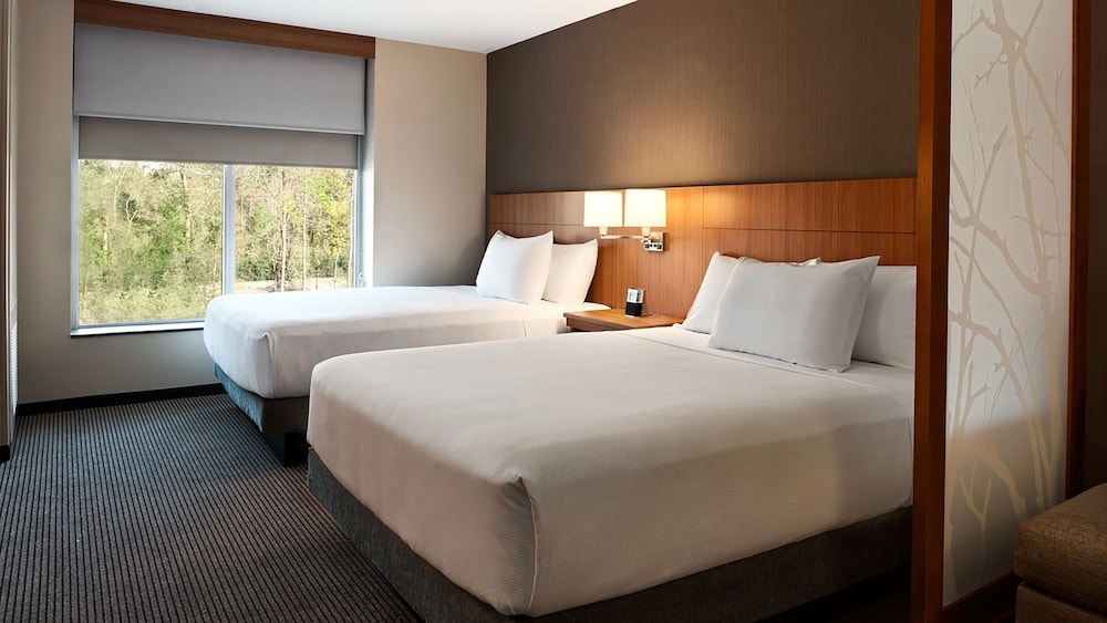 Hyatt Place Houston / The Woodlands 11/64