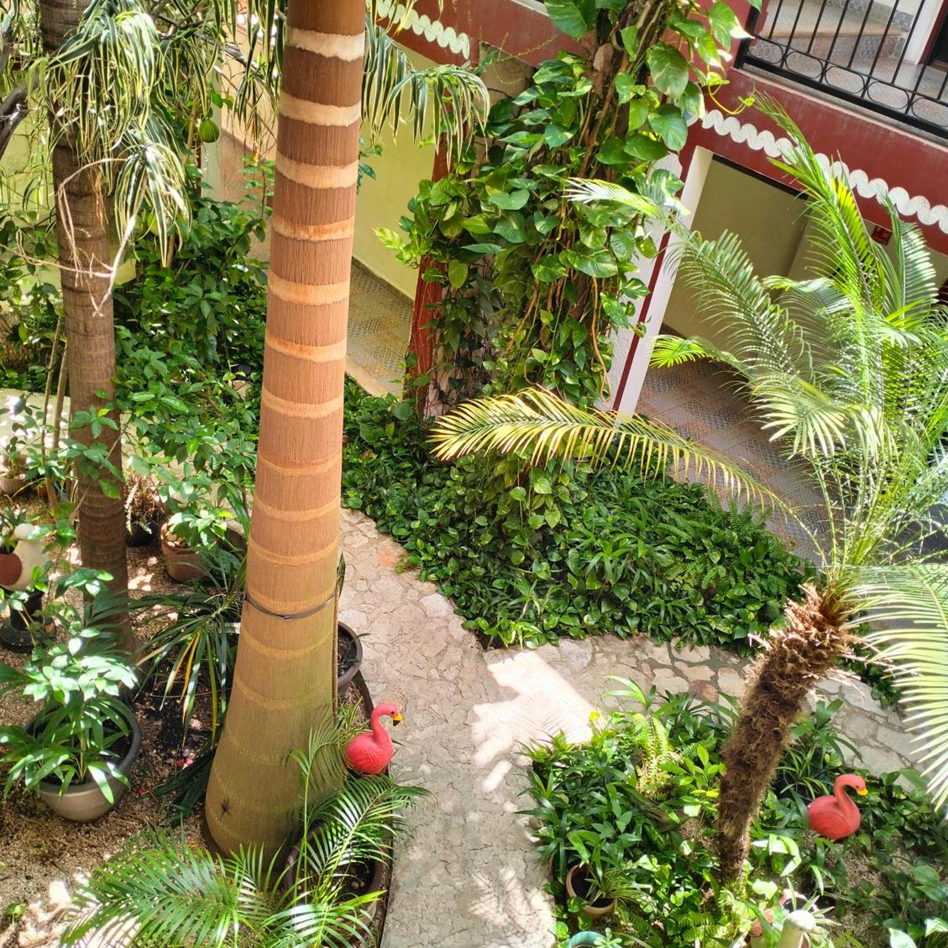 Hotel Quinta Marciala 65/73
