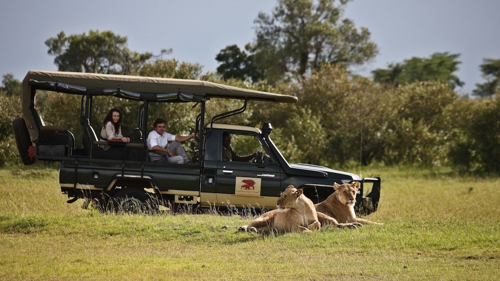 Elephant Pepper Camp 26/48