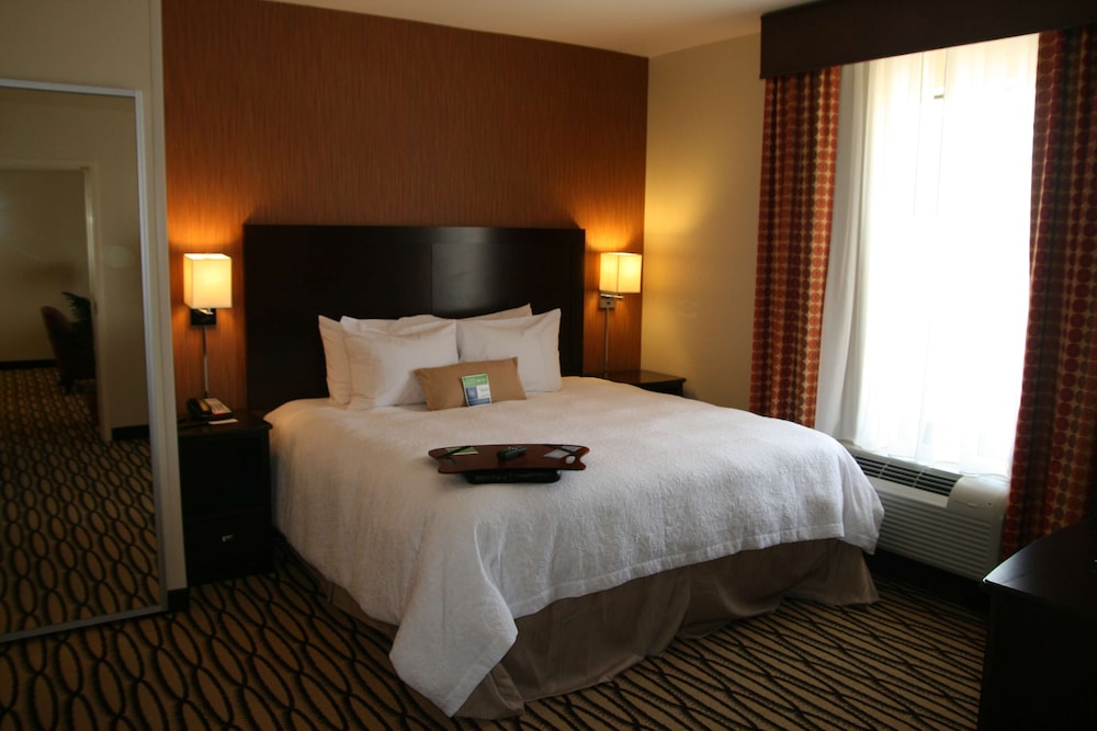 Hampton Inn And Suites Morgan City 20/63
