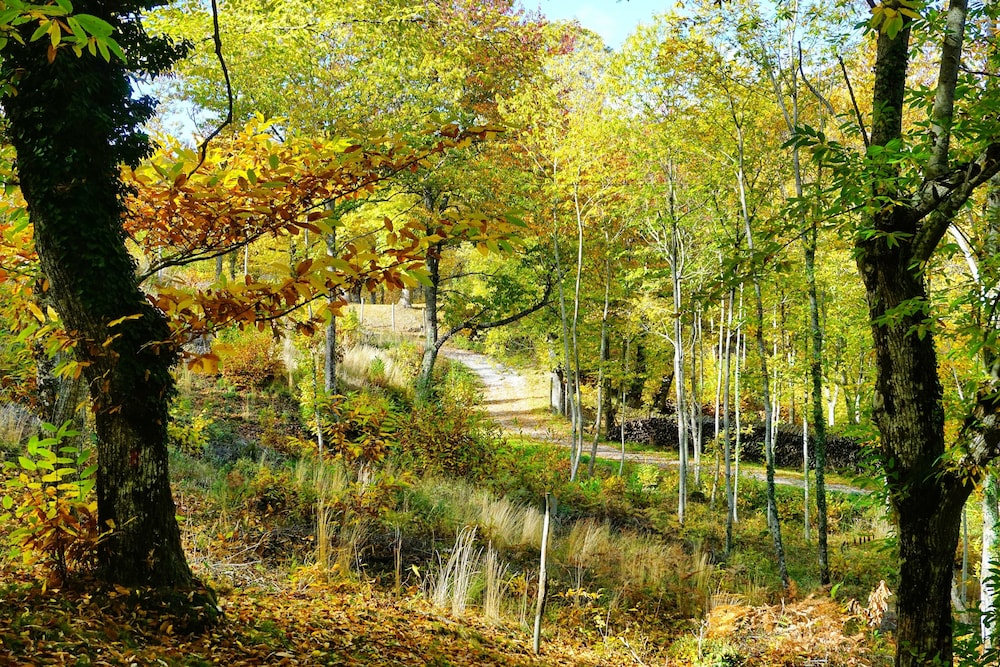 Bio Agriturismo I Rondinelli 41/50