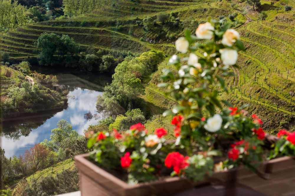 Vila Gale Douro Vineyards 26/71