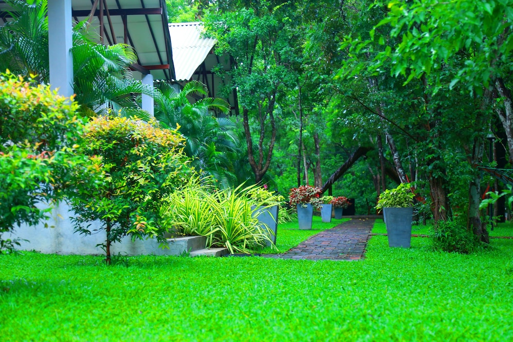 Viverra Hotel 11/17