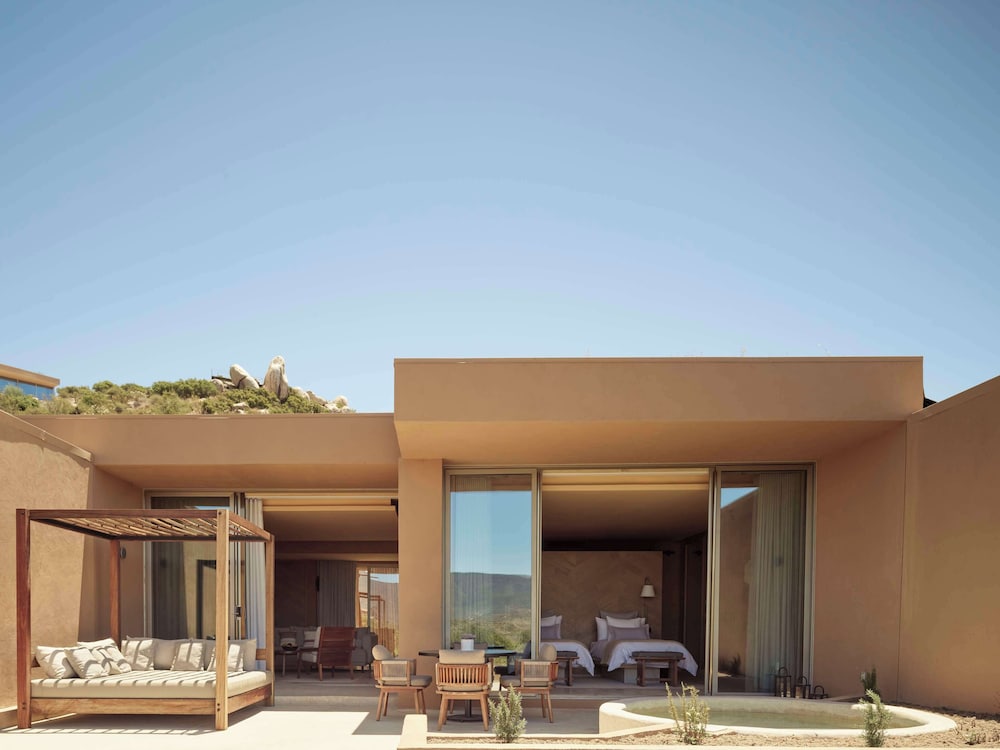 Banyan Tree Veya Valle de Guadalupe in Valle de Guadalupe (Baja California)