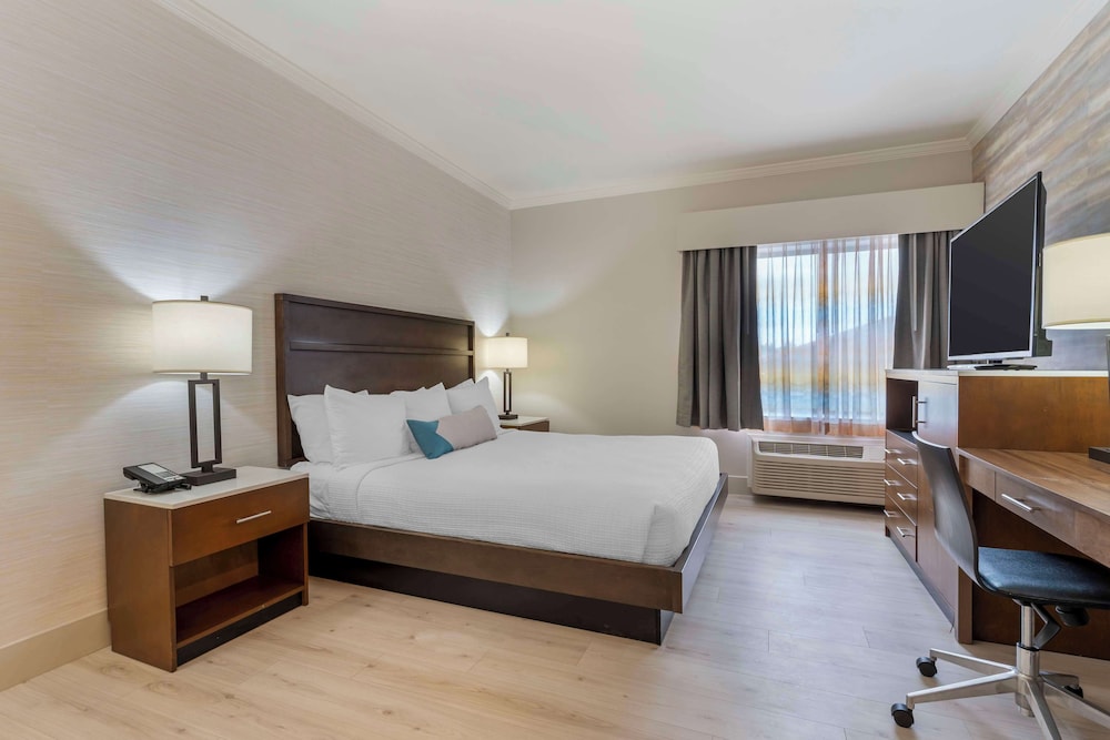 Suite, King Bed, Sofa, Living Area