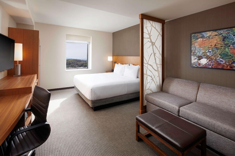 ROOM, KING BED, SOFA, ACCESSIBLE