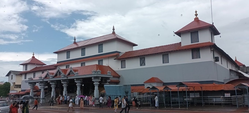Regenta Resort Sakleshpur 3/50