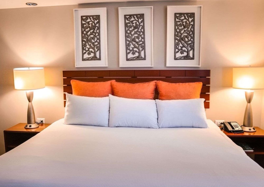 Le Plaza Hotel 30/70