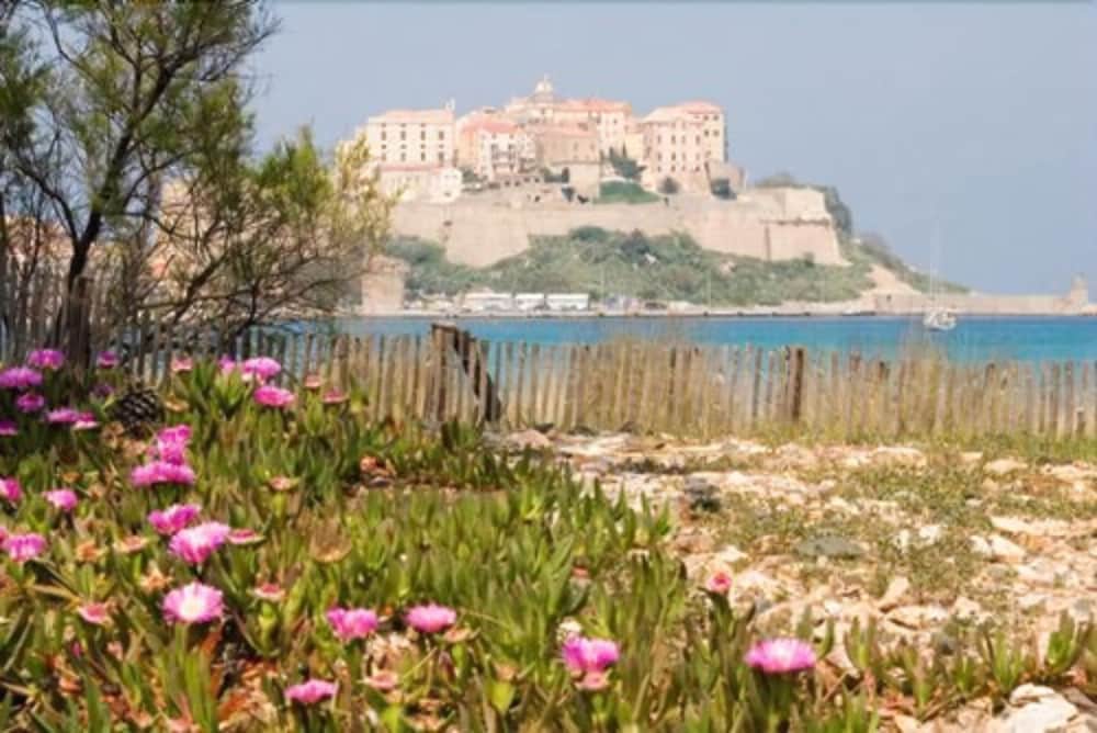 Calvi Hotel 9/65