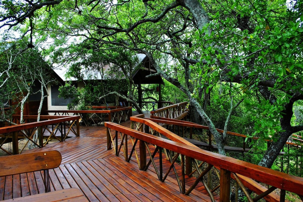 Lion Tree Top Lodge 29/36