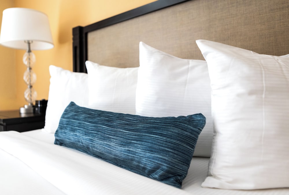卡尔斯巴德海滩度假酒店(Carlsbad Inn Beach Resort) 图片5