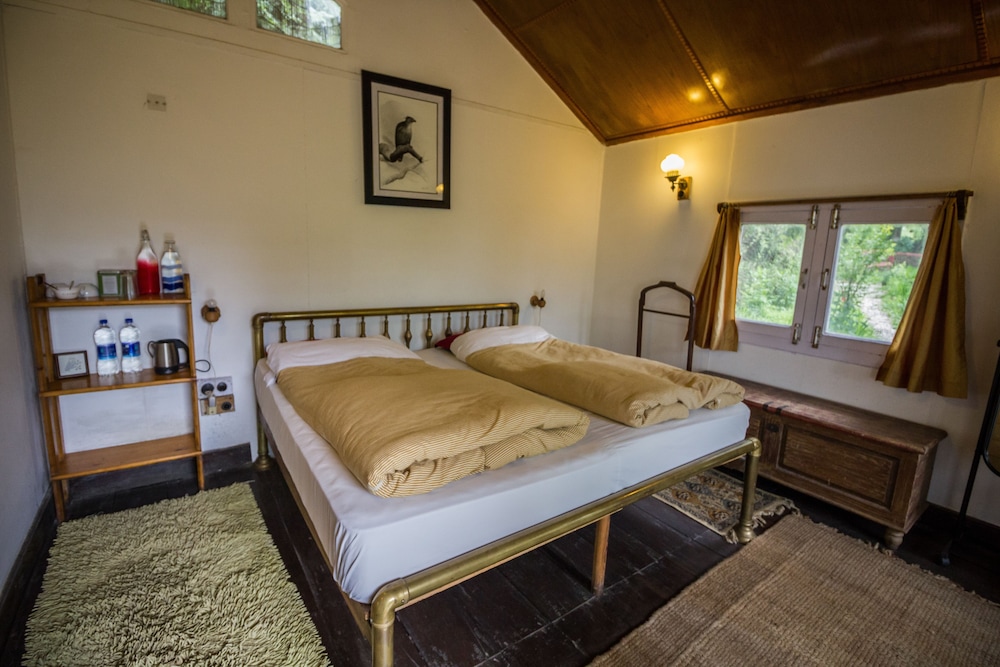 Jungle Lore Birding Lodge 5/29