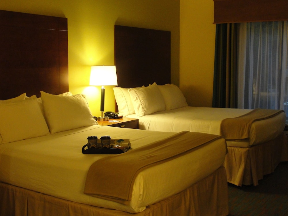 Holiday Inn Express Hotel Suites Atlanta East Lithonia 48/66