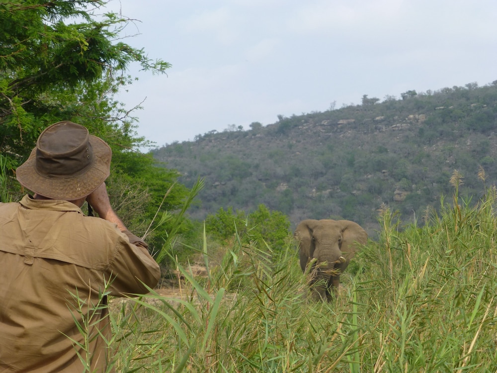 Rhino Ridge Safari Lodge 38/50
