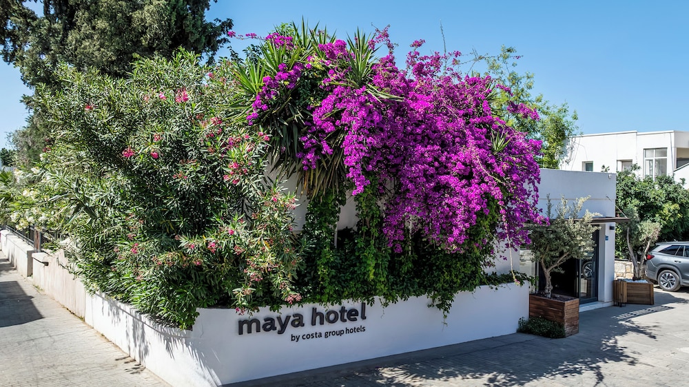 Maya Hotel 63/66