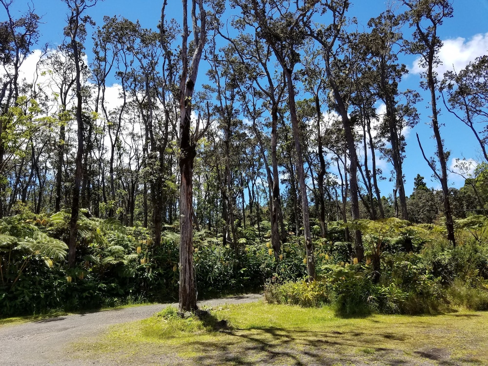 Volcano Forest Inn 43/50